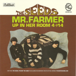 The Seeds Mr. Farmer / Up In Her Room 4#14 Vinyl 7" USED
