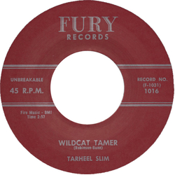 Tarheel Slim Wildcat Tamer / Number 9 Train Vinyl 7" USED