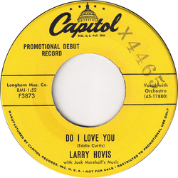 Larry Hovis Do I Love You / We Could Have Lots Of Fun Vinyl 7" USED