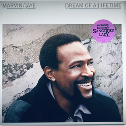 Marvin Gaye Dream Of A Lifetime Vinyl LP USED