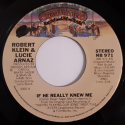 Robert Klein / Lucie Arnaz If He Really Knew Me Vinyl 7" USED