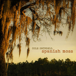 Cole Swindell Spanish Moss Vinyl LP USED