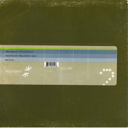 Roni Size / Reprazent Share The Fall Vinyl 12" USED