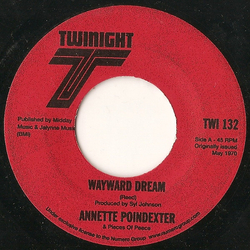 Annette Poindexter / Pieces Of Peace Wayward Dream / Mama Vinyl 7" USED