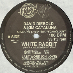 David Diebold / Kim Cataluna White Rabbit Vinyl 12" USED