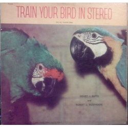 No Artist Train Your Bird In Stereo Vinyl LP USED