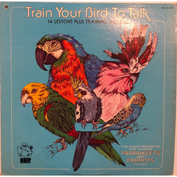 Unknown Artist Train Your Bird To Talk Vinyl LP USED