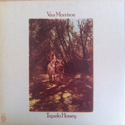 Van Morrison Tupelo Honey Vinyl LP USED