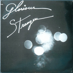 Glorious Strangers Glorious Strangers Vinyl LP USED