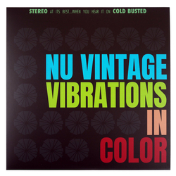 Nu Vintage Vibrations In Color Vinyl LP USED