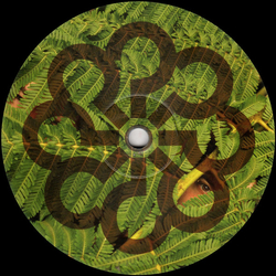 Baptiste & Pierre Colleu Virage Vinyl 12" USED