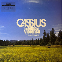 Cassius / Steve Edwards The Sound Of Violence (Feel Like I Wanna Be Inside Of You) Vinyl 12" USED