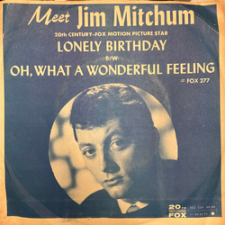 Jim Mitchum Lonely Birthday / Oh, What A Wonderful Feeling Vinyl 7" USED