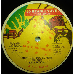 Papa Biggy Must Get Your Loving Vinyl 12" USED