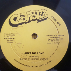 Leroy Sibbles Ain't No Love / New Song Vinyl 12" USED