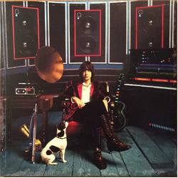 Julian Casablancas Phrazes For The Young Vinyl LP USED