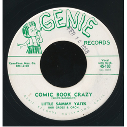 Count Yates Comic Book Crazy Vinyl 7" USED