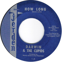 Darwin & The Cupids How Long / Chloe Vinyl 7" USED