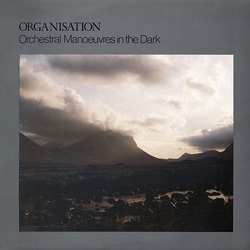 Orchestral Manoeuvres In The Dark Organisation Vinyl LP USED