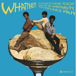 The Whatnauts Why Can't People Be Colors Too Vinyl 7" USED