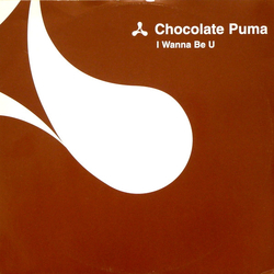 Chocolate Puma I Wanna Be U Vinyl 12" USED