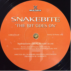 Snakebite The Bit Goes On Vinyl 12" USED