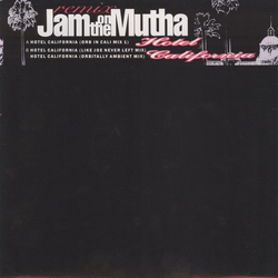Jam On The Mutha Hotel California (Remix) Vinyl 12" USED