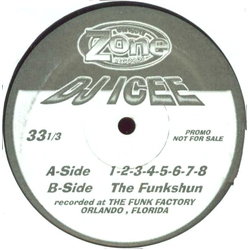 DJ Icey 1-2-3-4-5-6-7-8 Vinyl 12" USED