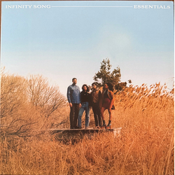 Infinity Song Essentials Vinyl LP USED