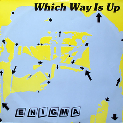 Enigma (2) Which Way Is Up Vinyl 12" USED