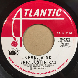 Eric Kaz Cruel Wind Vinyl 7" USED