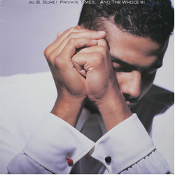 Al B. Sure! Private Times...And The Whole 9! Vinyl LP USED