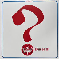 After Shave Skin Deep Vinyl LP USED