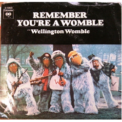 The Wombles Remember You're A Womble Vinyl 7" USED