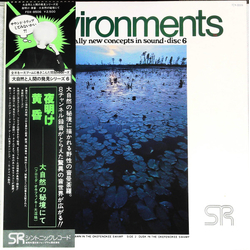 No Artist Environments (Totally New Concepts In Sound • Disc 6 / Dawn And Dusk In The Okefenokee Swamp) Vinyl LP USED