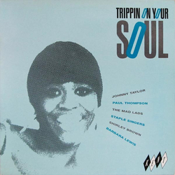 Various Trippin On Your Soul Vinyl LP USED