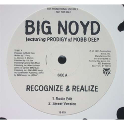 Big Noyd / Prodigy Recognize & Realize Vinyl 12" USED