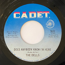 The Dells Does Anybody Know I'm Here / Make Sure (You Have Someone Who Loves You) Vinyl 7" USED
