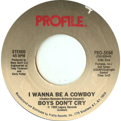 Boys Don't Cry I Wanna Be A Cowboy Vinyl 7" USED