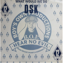 DSK What Would We Do Vinyl 12" USED