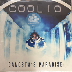 Coolio Gangsta's Paradise Vinyl 7" USED