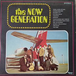 The Now Generation (2) The Now Generation Vinyl LP USED