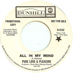 Pure Love And Pleasure All In My Mind Vinyl 7" USED