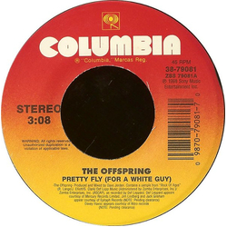 The Offspring Pretty Fly (For A White Guy) Vinyl 7" USED