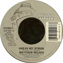 Matthew Wilder Break My Stride Vinyl 7" USED
