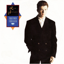 Rick Astley Together Forever Vinyl 7" USED