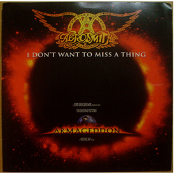 Aerosmith I Don't Want To Miss A Thing Vinyl 7" USED