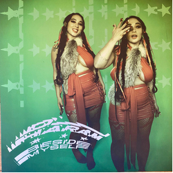 DJ Haram Beside Myself Vinyl LP USED