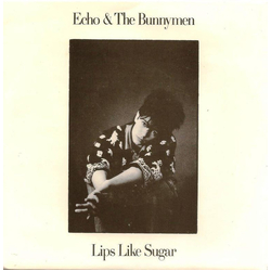 Echo & The Bunnymen Lips Like Sugar Vinyl 7" USED