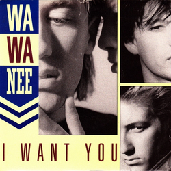 Wa Wa Nee I Want You Vinyl 7" USED